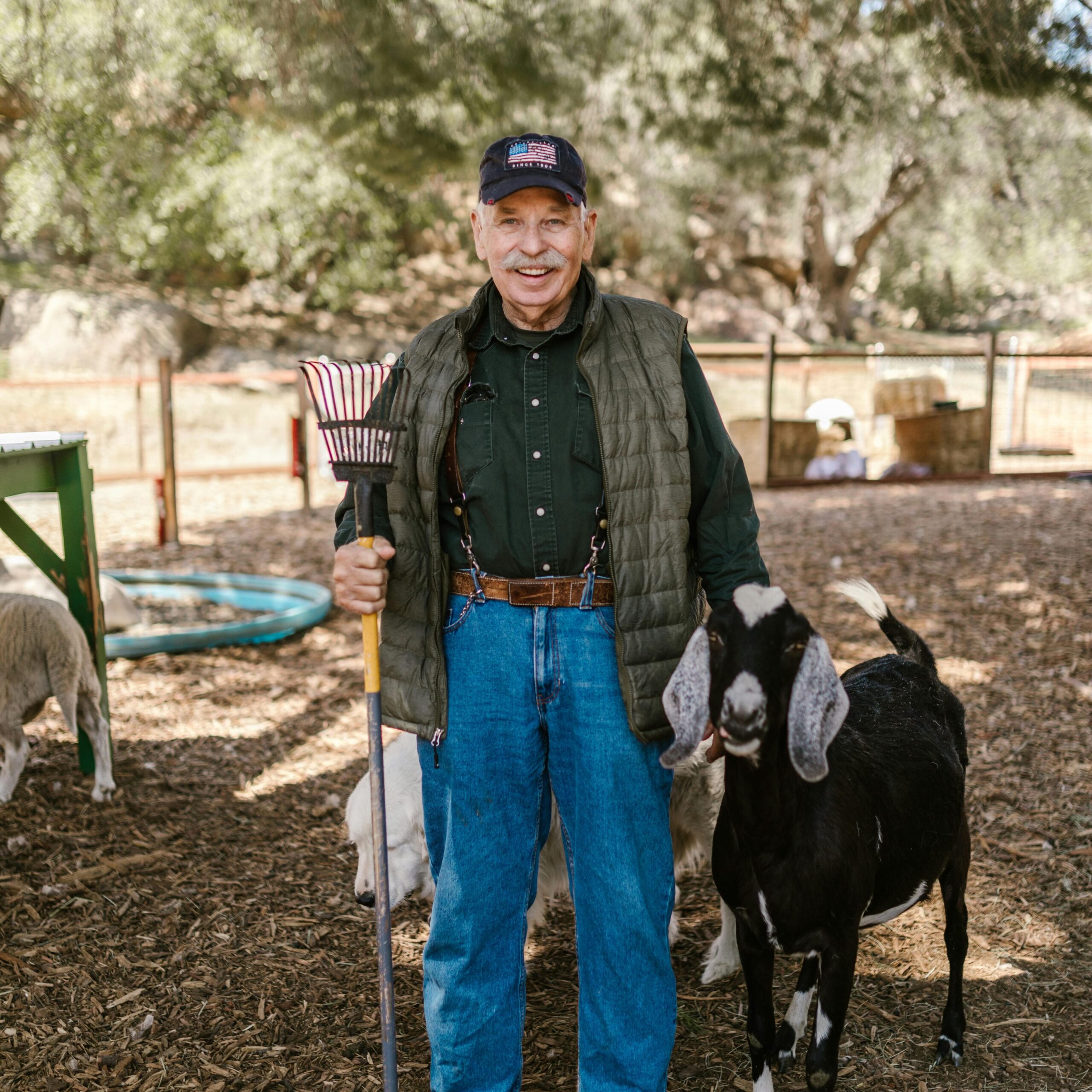 ar livre cabrito ar livre cabrito